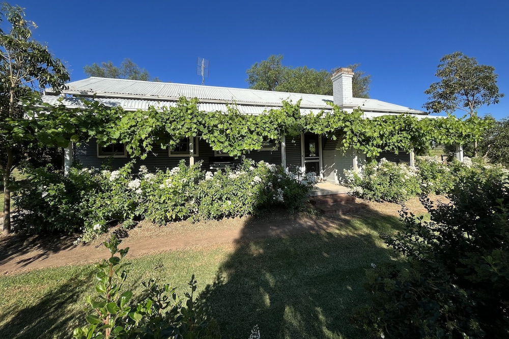 The Chaffcutters Cottage - pet friendly cottage in idyllic rural setting.