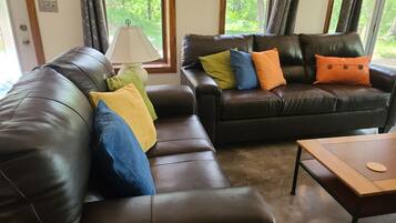 TV, caminetto, lettore DVD, libri