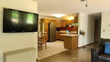 TV, caminetto, lettore DVD, libri