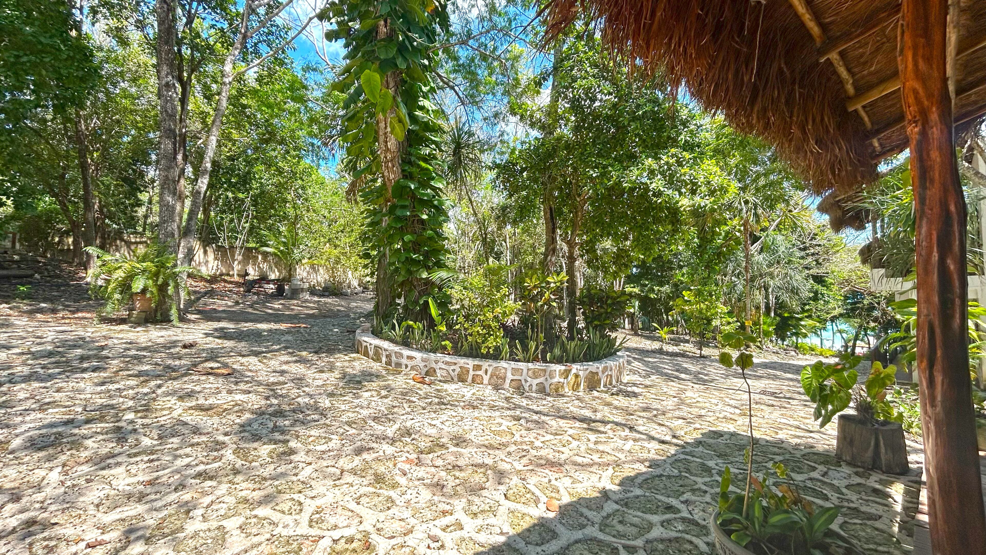 A stone-paved courtyard with trees and a thatched-roof structure.