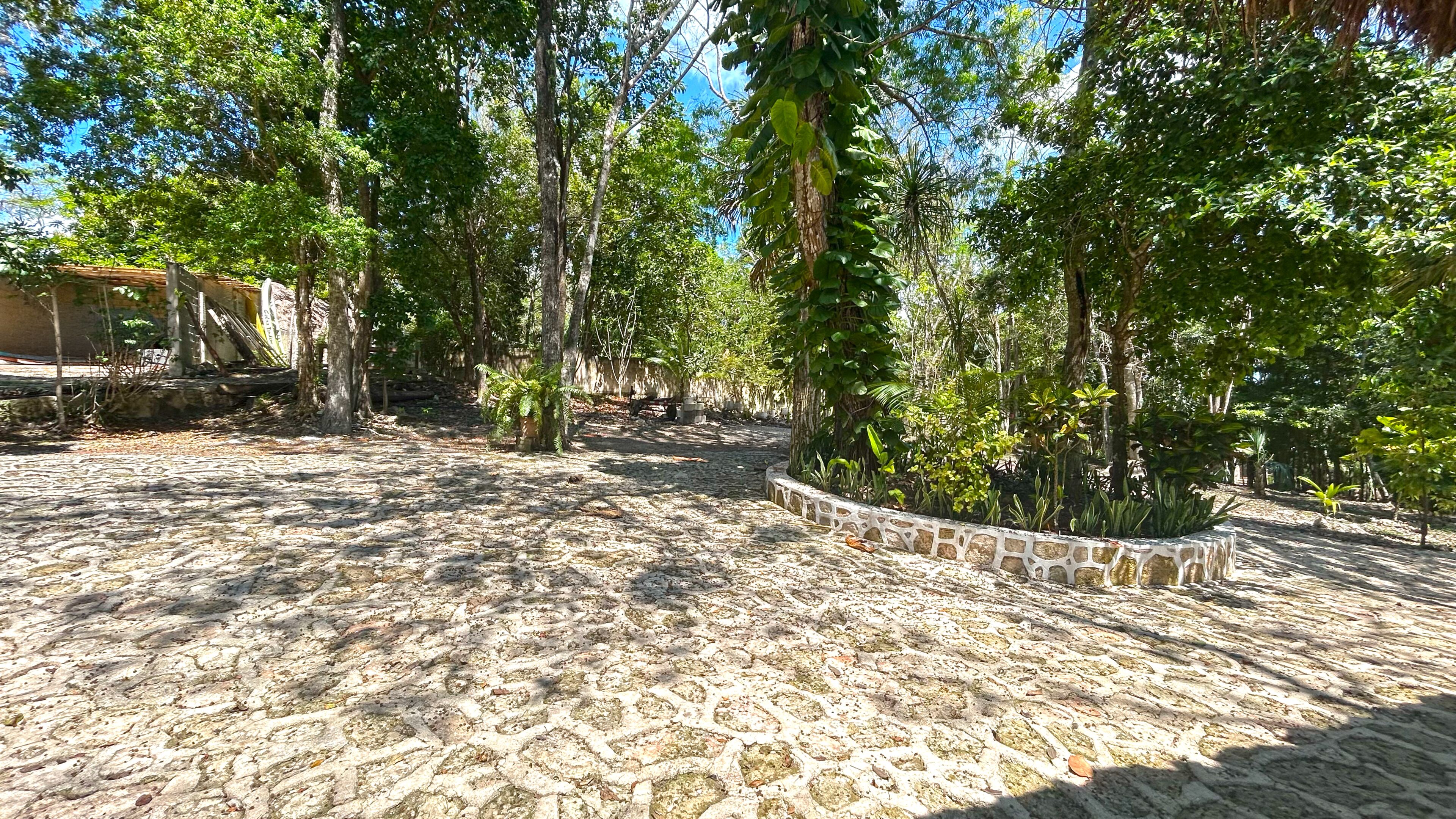 A courtyard with stone flooring, surrounded by trees and a stone wall.