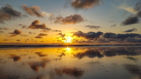 Beach nearby. Lovely 4BR/ Near Everything/ All amenities/BBQ