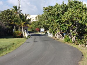 Property grounds - Relaxing Ocean View at Family-Friendly Condo with Pool (Christiansted)