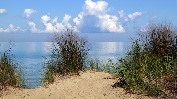 A beach with sand dunes and tall grasses.