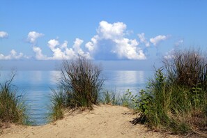 A beach with sand dunes and tall grasses.