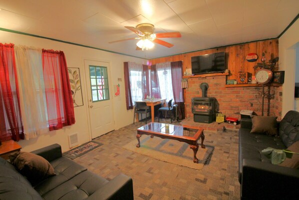 Smart TV, fireplace, books, computer monitors