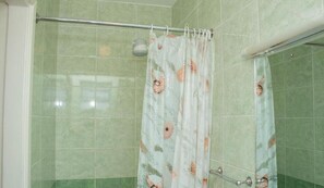 Shower, free toiletries, bidet, towels
