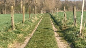 Property grounds - https://tiny-horses.be/ (Pont-à-Celles)