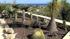 A desert garden with various cacti and a palm tree, overlooking a coastal landscape.