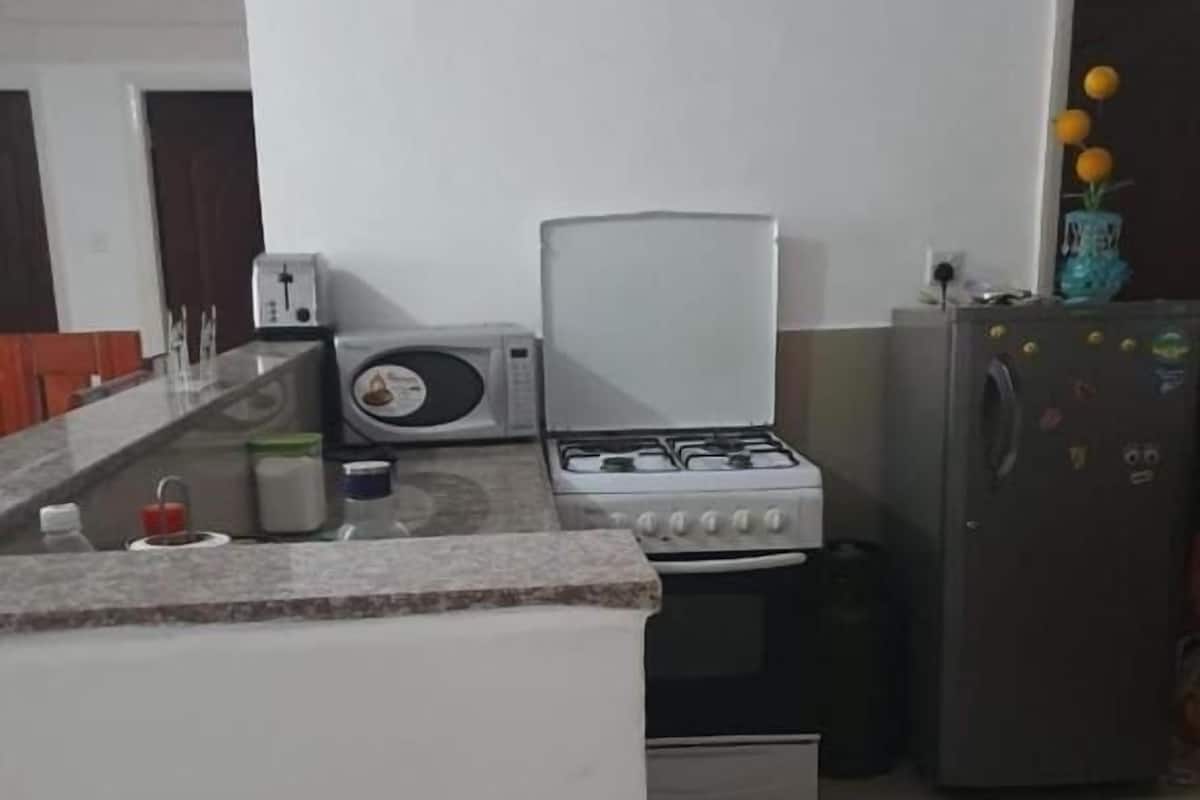 A kitchen with a gas stove, a microwave, a refrigerator, and a sink.