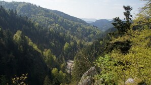 Eksteriør