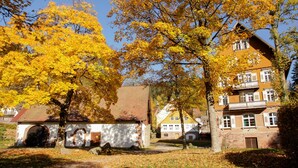 Eksteriør
