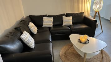 Télévision, livres