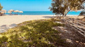 Ein Strand mit Holzlattenzaun, Gras und reetgedeckten Sonnenschirmen.