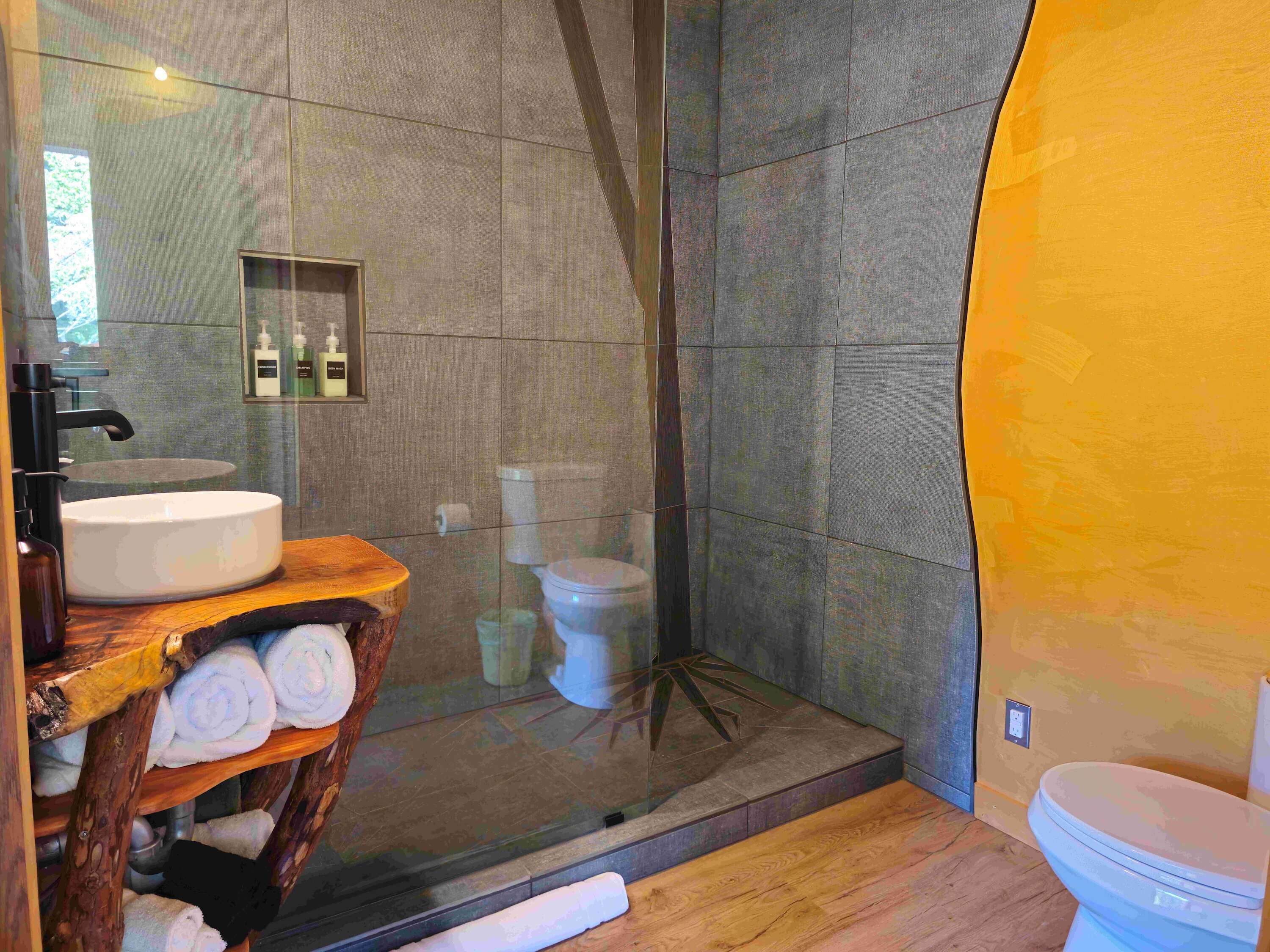 Shower, hair dryer, towels
