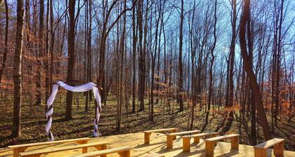 Master Sculptor's Art Bungalow Hocking Hills