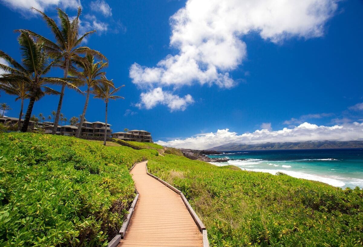 A pathway leading to a beachfront property with palm trees and ocean views.