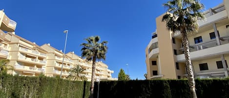 Uima-allas