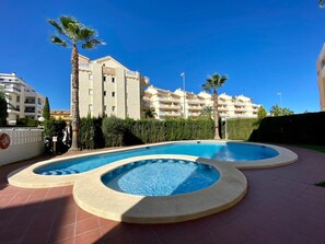 Una piscina con design curvo, circondata da una zona pavimentata e palme.