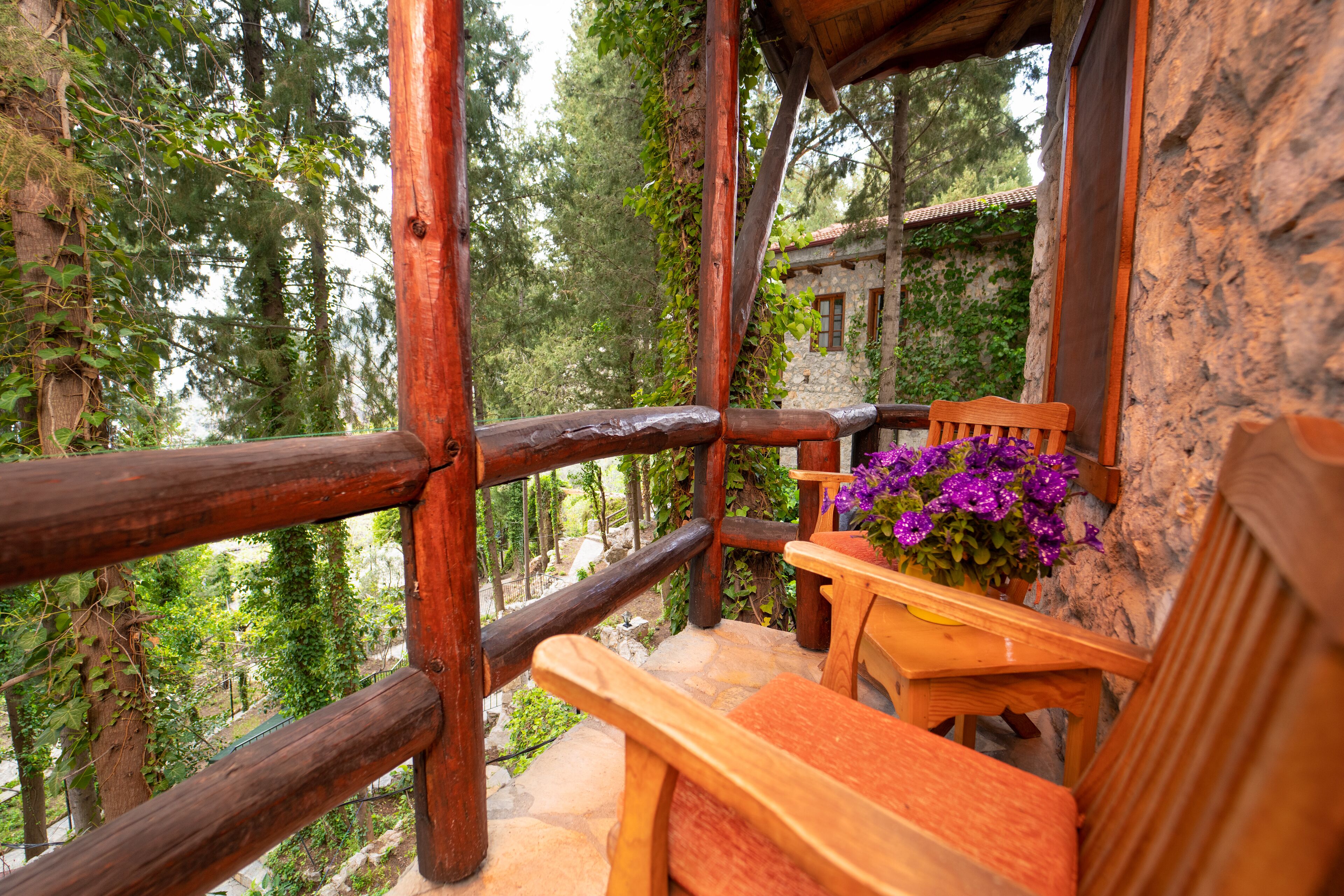 A wooden deck with benches and a potted plant, overlooking a forested area.
