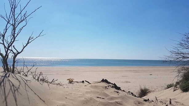 Una playa con cielos despejados y aguas tranquilas.