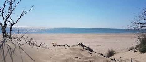 Beach nearby