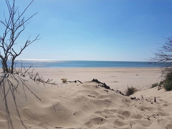 Plage à proximité