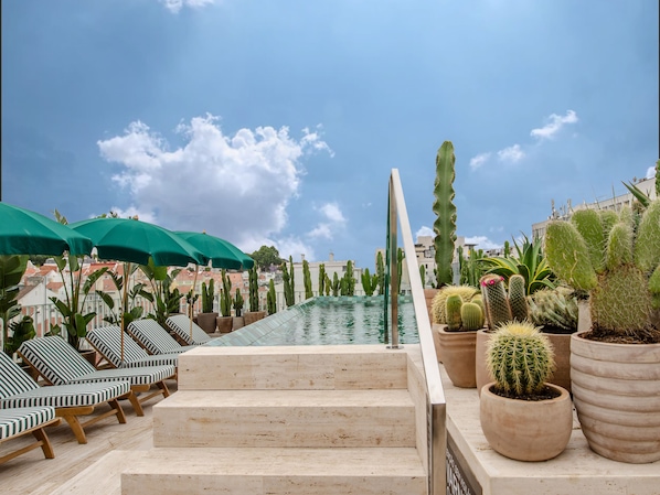 Un área de piscina en la azotea con sillones de descanso y sombrillas, rodeada de cactus y suculentas en macetas.