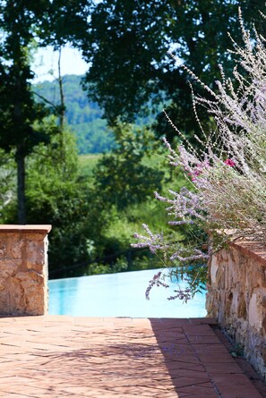 Property grounds - Family property in the heart of Tuscany & Chianti Hillside (Vagliagli)