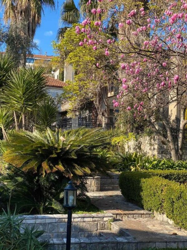Une cour avec un chemin de pierre, une végétation luxuriante et un arbre à fleurs roses.