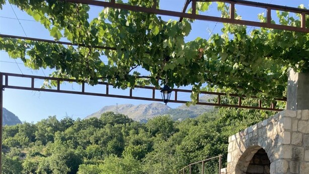 A stone outdoor seating area with two wooden chairs and a table, surrounded by lush greenery and a stone wall. - Villa Charming Vineyard (Budva)