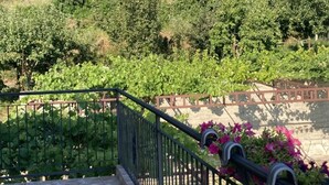 A balcony with a stone floor, metal railing, and potted flowers. In the background, there is a hillside with trees and a building. - Villa Charming Vineyard (Budva)