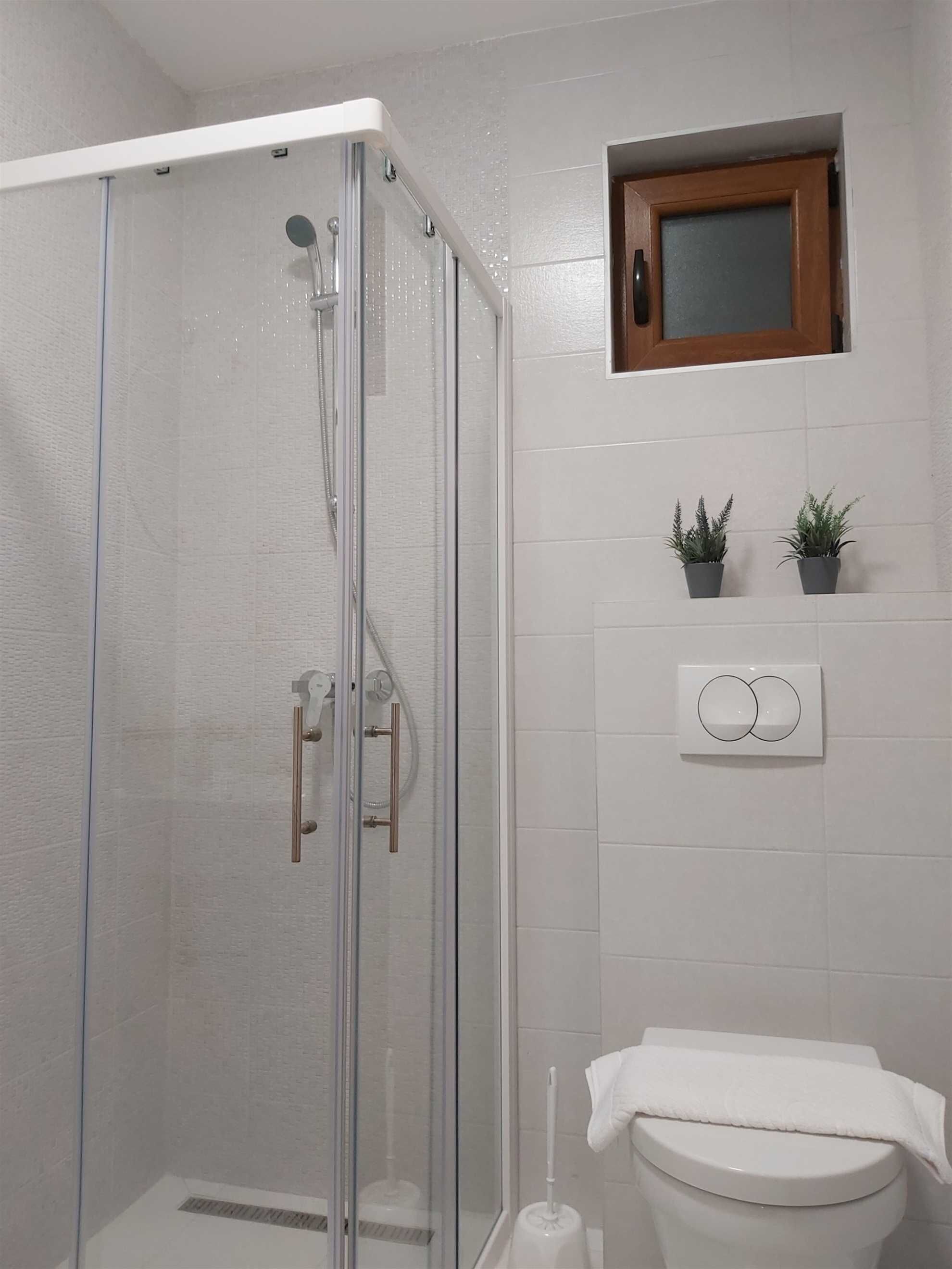 A bathroom with a glass shower enclosure, a toilet, a wall-mounted medicine cabinet, and two potted plants.