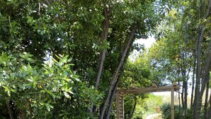 A garden pathway with a wooden pergola, surrounded by lush greenery and potted plants. - Mini Villa With Jacuzzi (Cagnes sur mer)