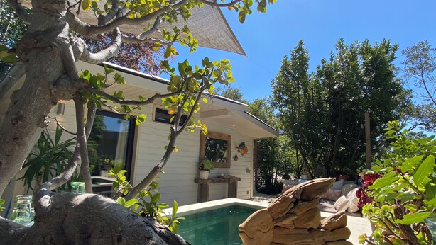 A pool with a wooden fish sculpture, a tree, and a house with a covered patio. - Mini Villa With Jacuzzi (Cagnes sur mer)