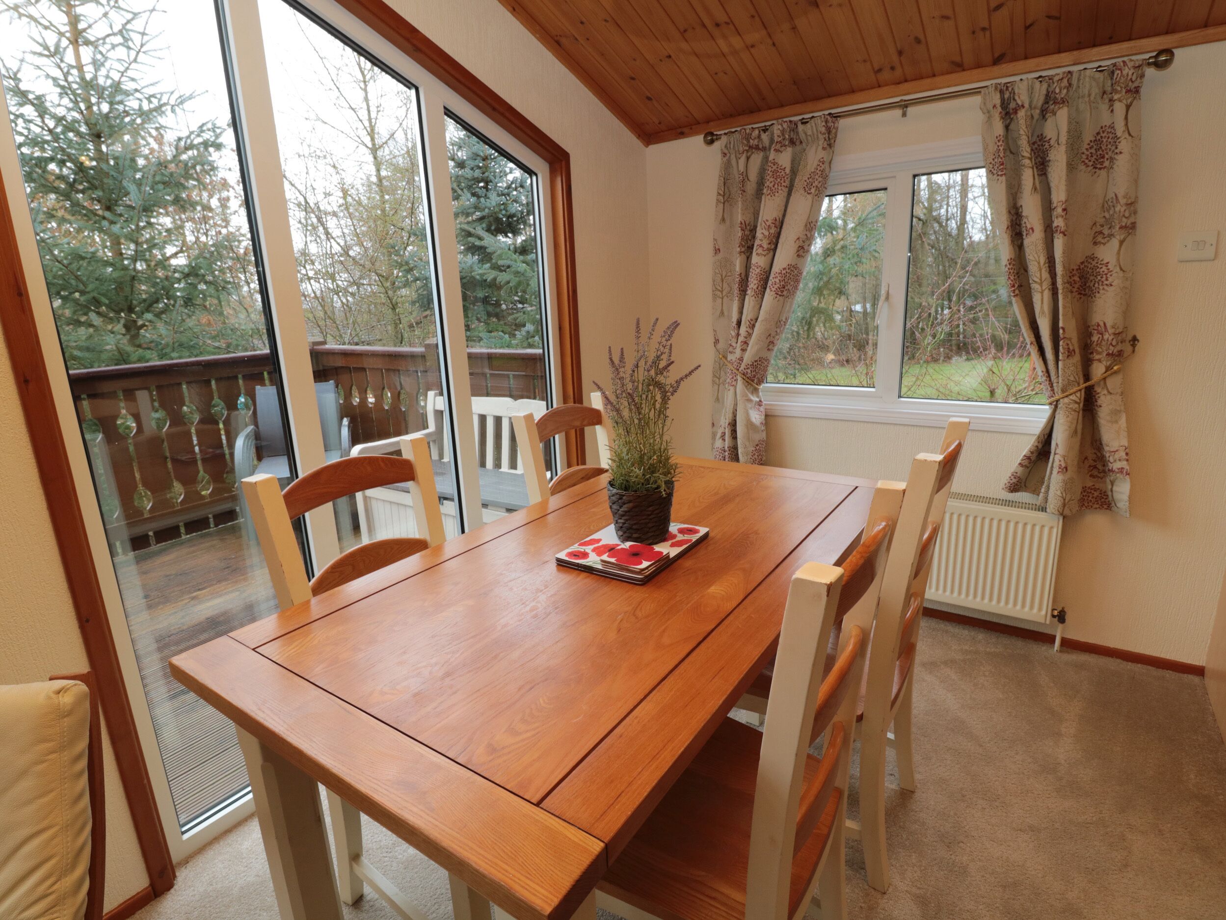 A wooden dining table with chairs, a potted plant, and a window with curtains.