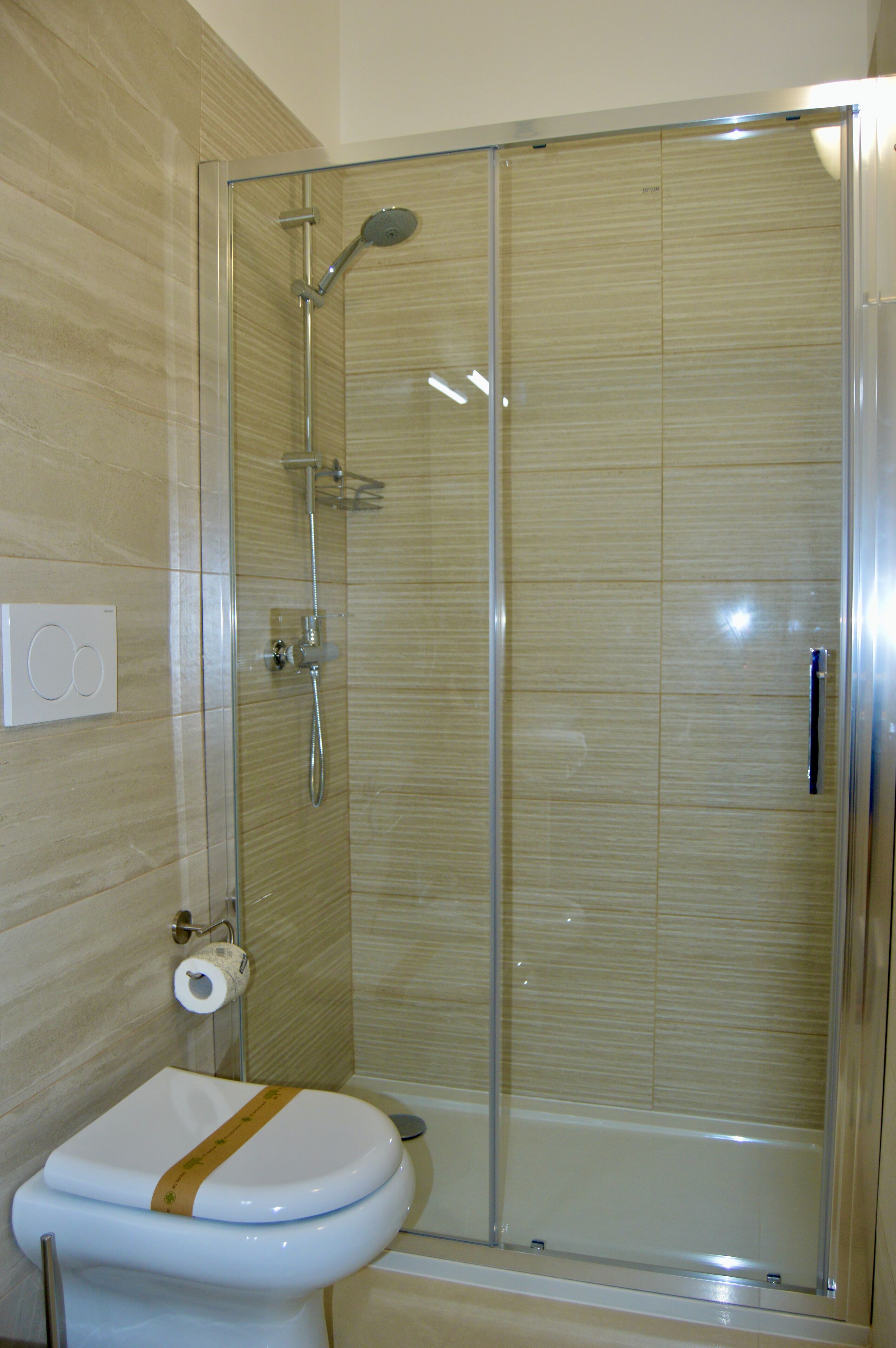 A bathroom with a glass-enclosed shower, a toilet, and a towel rack.