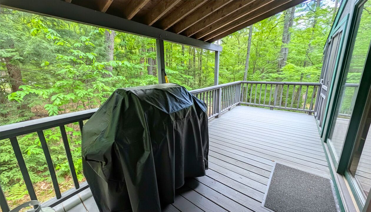 Une terrasse en bois couverte, équipée d’un barbecue, entourée d’une forêt dense.