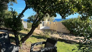 An outdoor seating area with wicker furniture under a tree, overlooking a coastal view. - Charming villa 50 m from the sea. Pets allowed (conca)