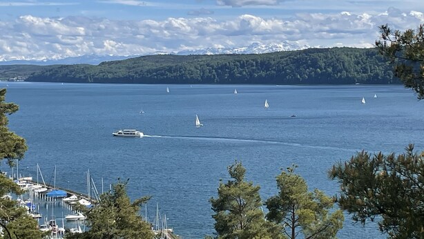 Un puerto deportivo con barcos amarrados, un cielo azul despejado y una colina boscosa al fondo.