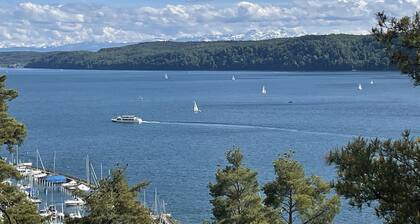 Apartment with large terrace and garden near the lake