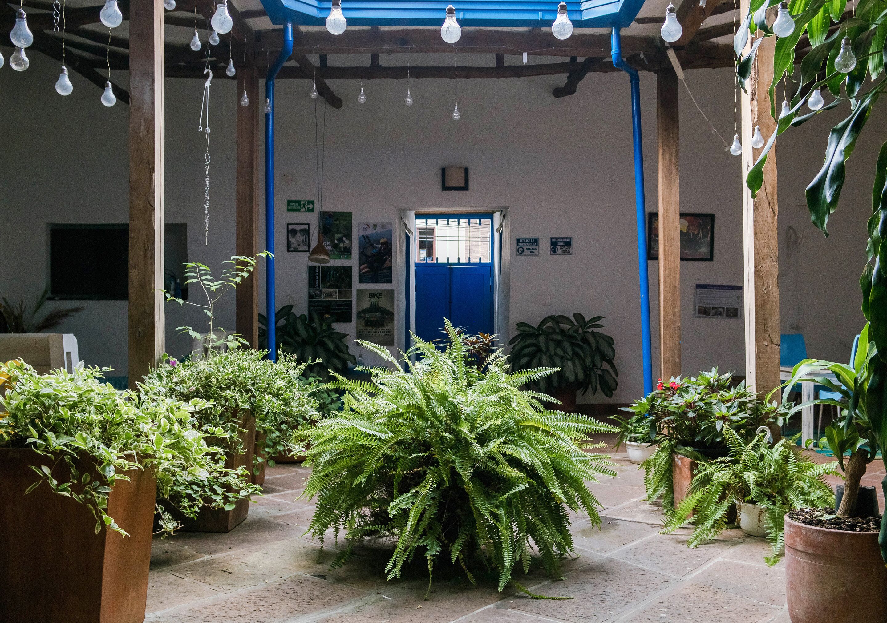 Un espacio al aire libre cubierto con plantas en macetas, una puerta azul y bombillas colgantes.