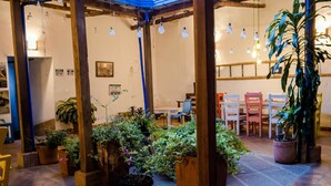 Un espacio interior acogedor con vigas de madera, plantas en macetas y bombillas colgantes.