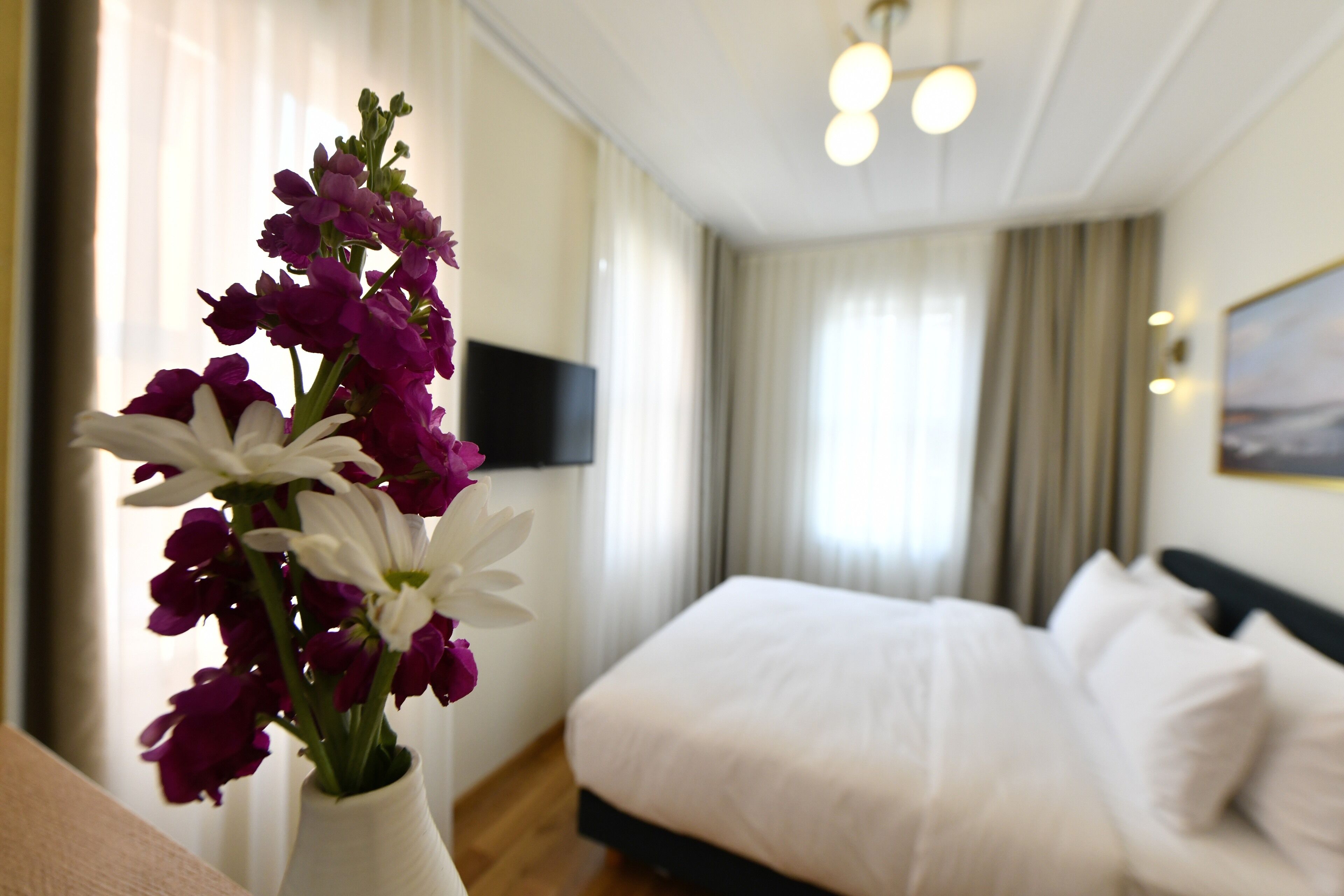 standard double or twin room | room amenity