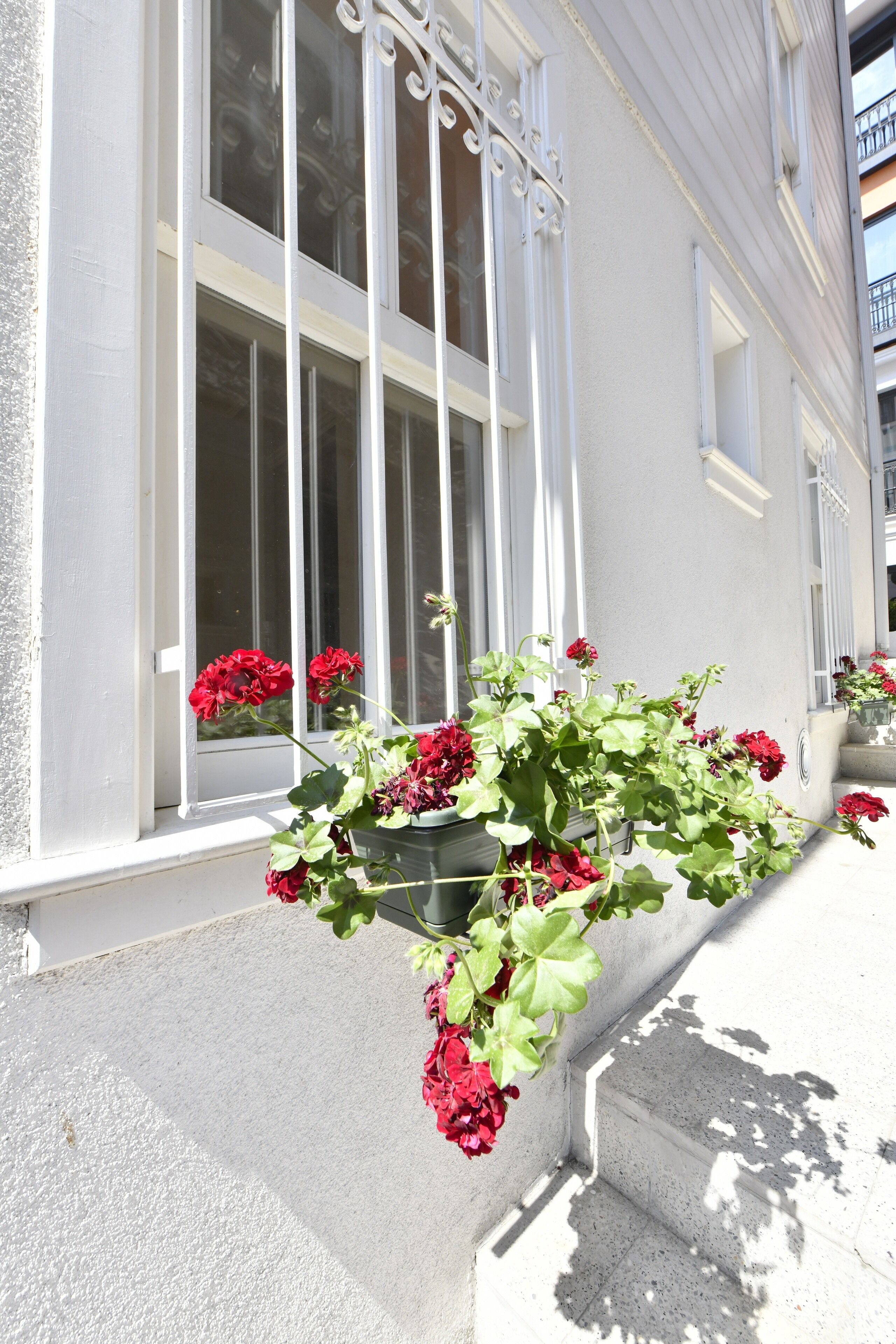 standard single room | view from room