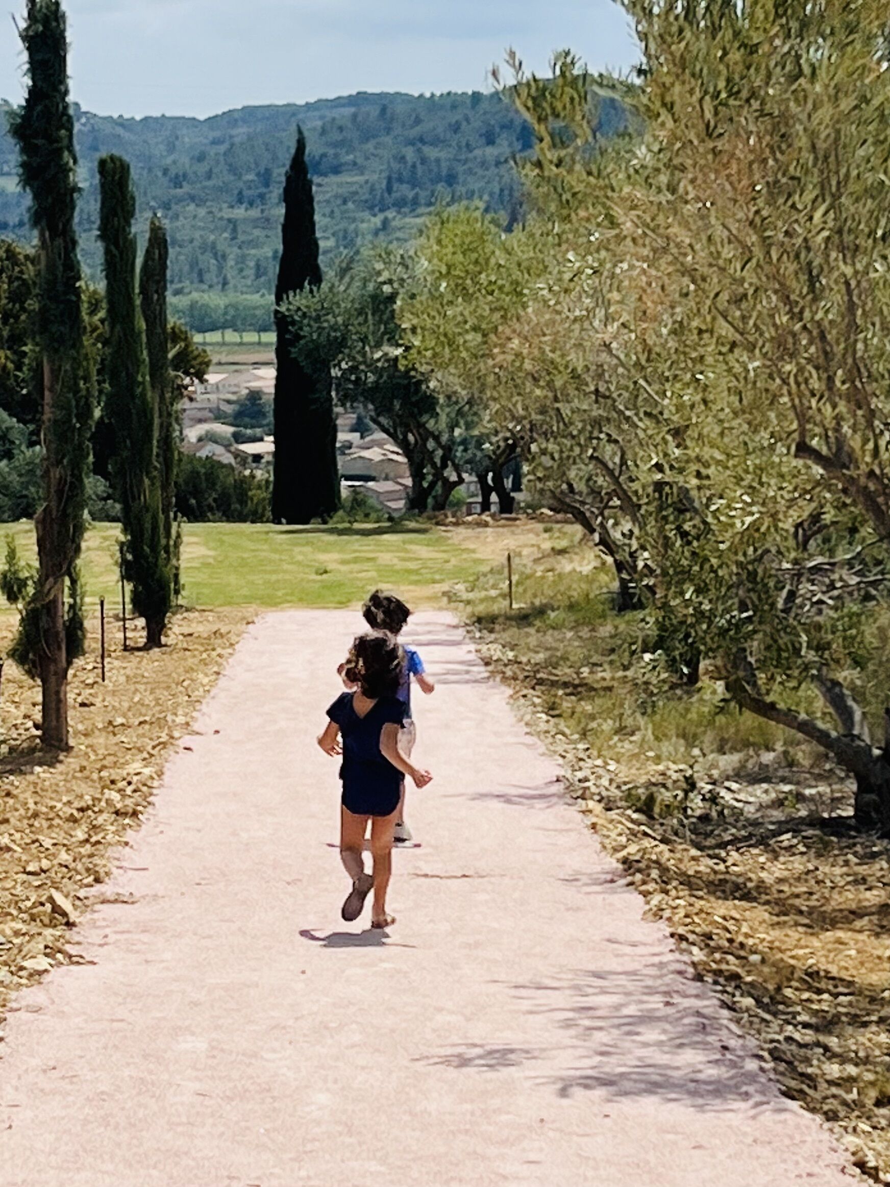 A pathway flanked by trees and a distant view of a village.