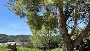 Un comedor al aire libre con una mesa dispuesta para dos personas, rodeado de césped y árboles.