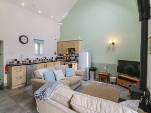 A compact living space with a kitchenette, sofa, television, and a fireplace.