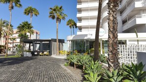 A hotel entrance with a cobblestone path, palm trees, and a covered seating area with yellow chairs.
