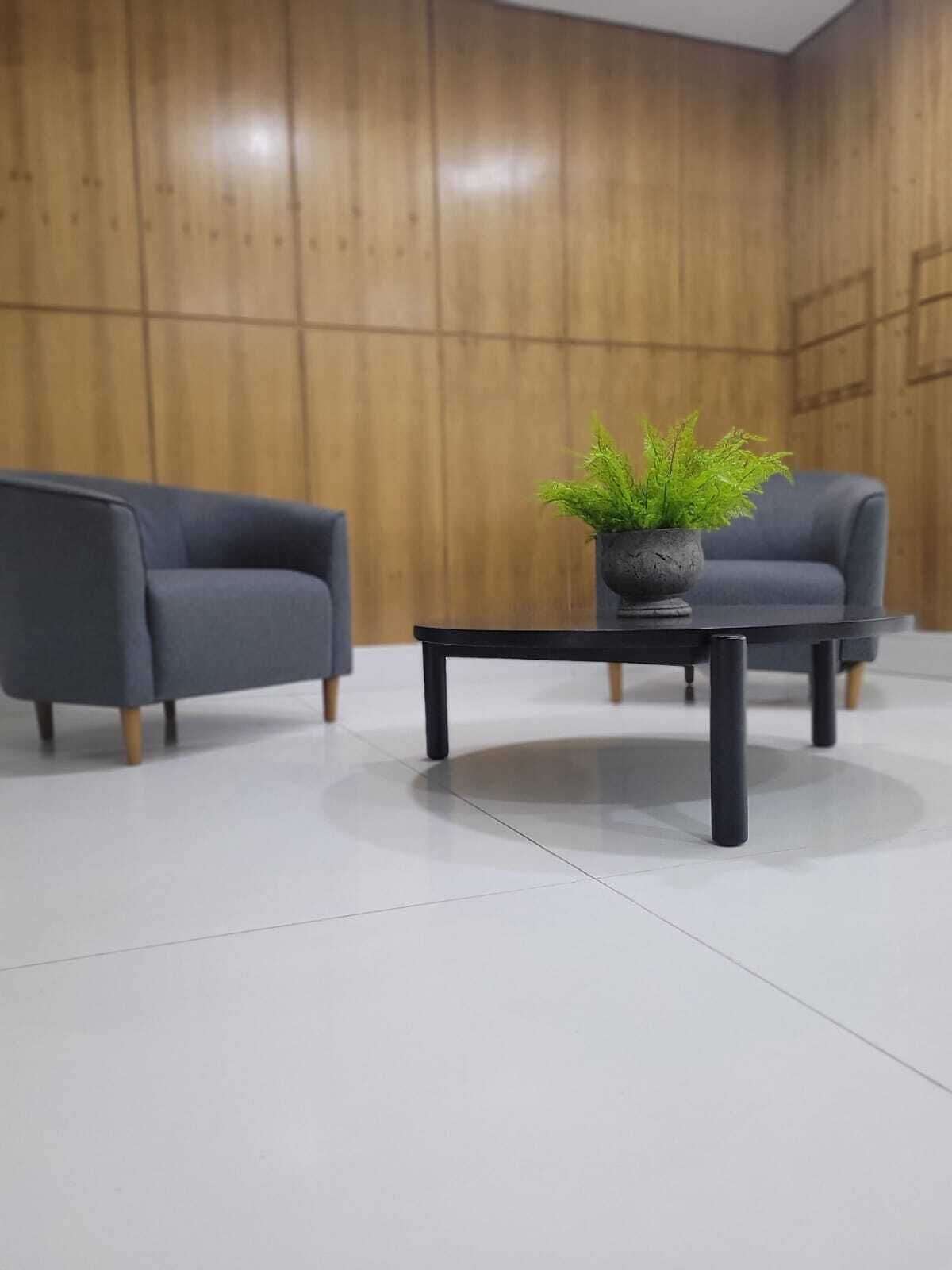 منطقة الاستقبال